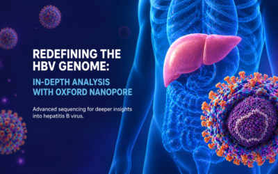 Redefining the HBV Genome: In-Depth Analysis with Oxford Nanopore