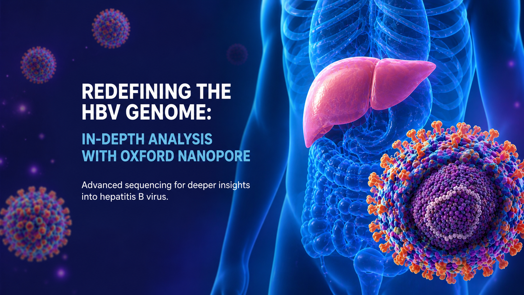 Redefining the HBV Genome: In-Depth Analysis with Oxford Nanopore