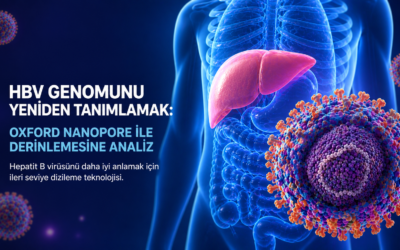 HBV Genomunu Yeniden Tanımlamak: Oxford Nanopore ile Derinlemesine Analiz 