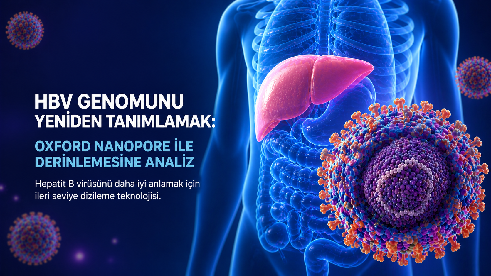 HBV Genomunu Yeniden Tanımlamak: Oxford Nanopore ile Derinlemesine Analiz 
